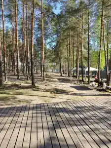 Беседки на Коркинском озере - 44