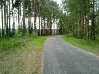 Улыбышево - 17