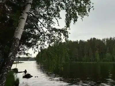 Беседки на Коркинском озере - 29