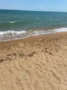 Лунный Бриз - 100