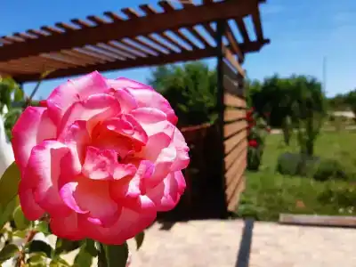 Винодельня Варнаутка - 20