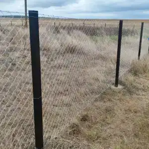 Дом у Аси - 39