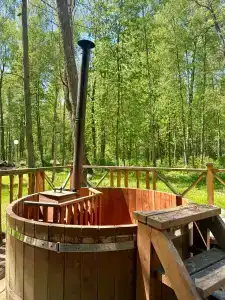 Подберёзовик - 7