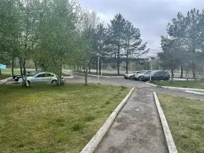 Визит - 13