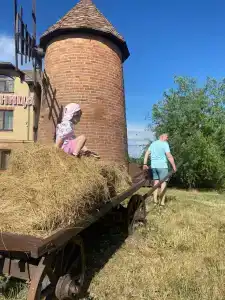 Старая мельница - 8