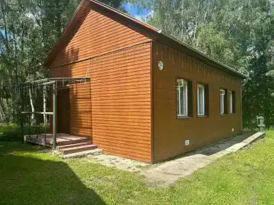 Берёзка - 29