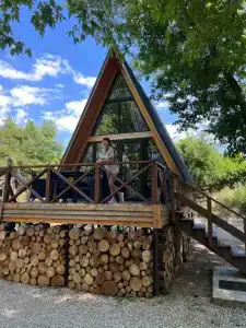 Богатый лес - 13