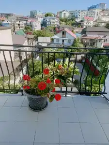 Адлерский Бриз - 20