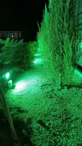 Витязь - 55