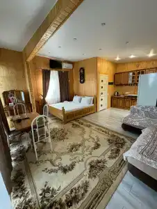 Дом Надежды с енотами - 17