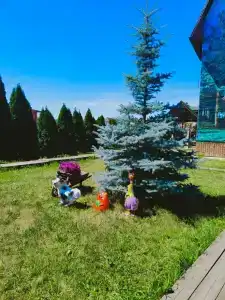 Странник - 27