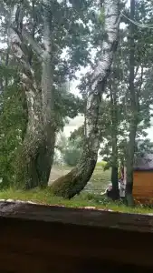 Бояринцево - 52