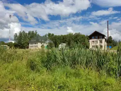 Березовка - 55