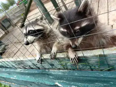 Александровский спас - 13