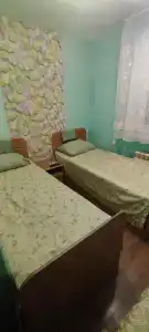 Ёлочка - 36