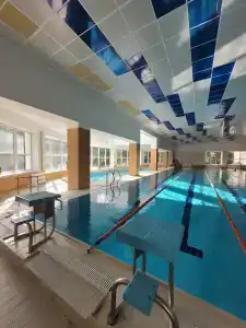 Беловежская пуща. №2 - 5