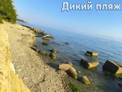 Гостевой дом у Кедра - 1