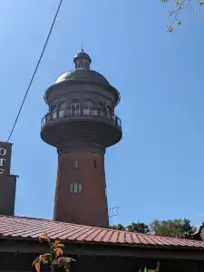 Золотые пески - 11