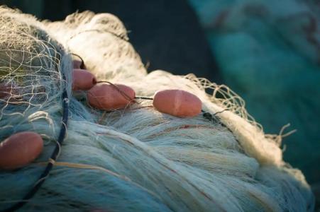 Palazzo Murrano - 82