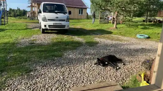 Вечера на Хуторе - 27