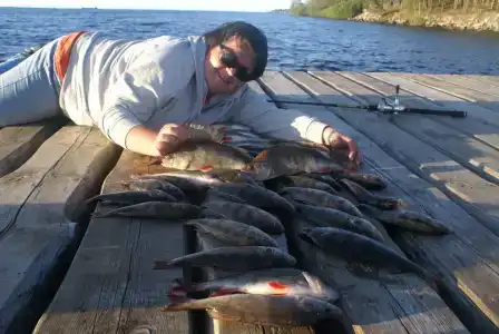 Big Fish - 25