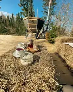 Глэмпинг DzenDome - 67