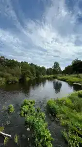 Березкина Заимка - 91