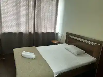 Автор Братиславская