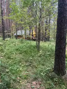 Канада - 97
