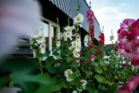 Рыбацкий хутор - 18