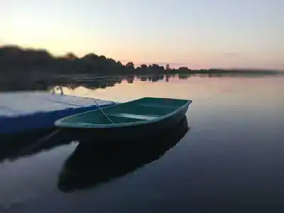 Пчелинцево - 87