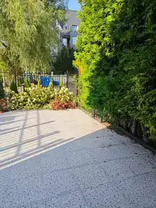 Белый лотос - 34