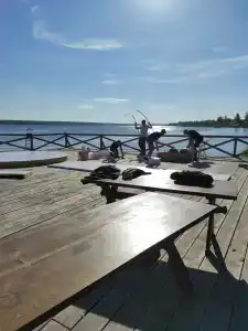 Орлец - 50