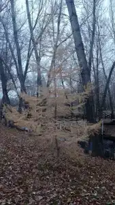 Жемчужина - 66