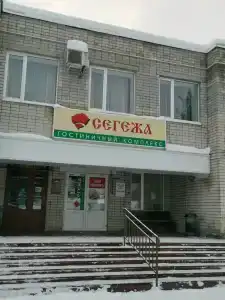 Сегежа - 69