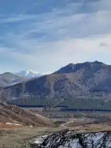 Лесная - 7