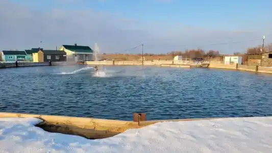 Сероводородный источник - 5