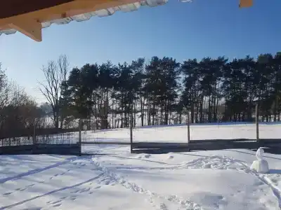 Смородина - 53