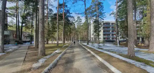 Жуковский - 29