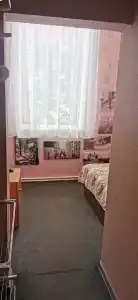 Дубровский - 13