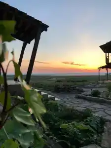 Фридом Веселовка - 49