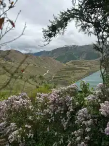 у тёти Ханий - 8