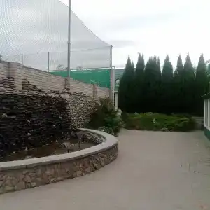 Теремок - 24