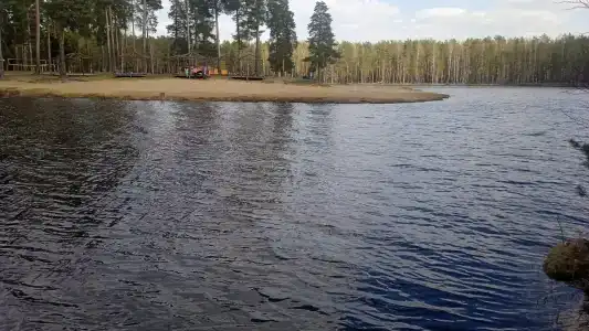 Беседки на Коркинском озере - 43