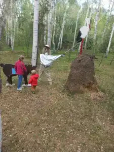 Солнечная поляна - 48