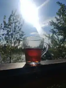 Шунский берег - 33
