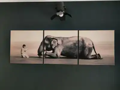 Эсквайр Хаус - 39