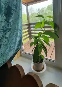 Утро на заводи - 8