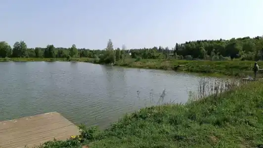 Мизиновские пруды - 47