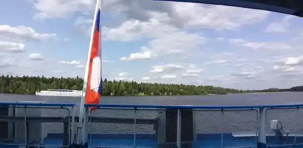 Хвойный бор - 19